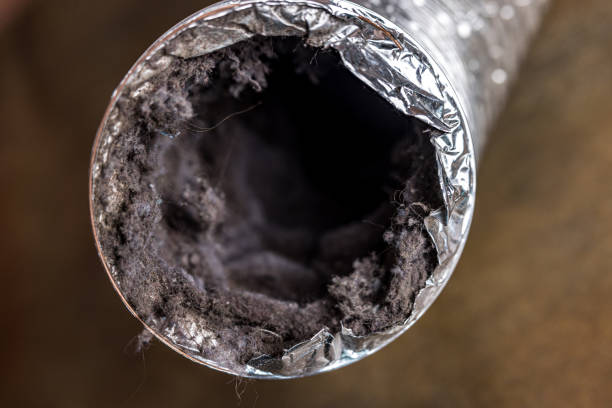 Best Affordable Duct Cleaning Services  in Black Creek, WI